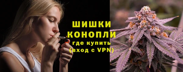 молекула духа Кинешма