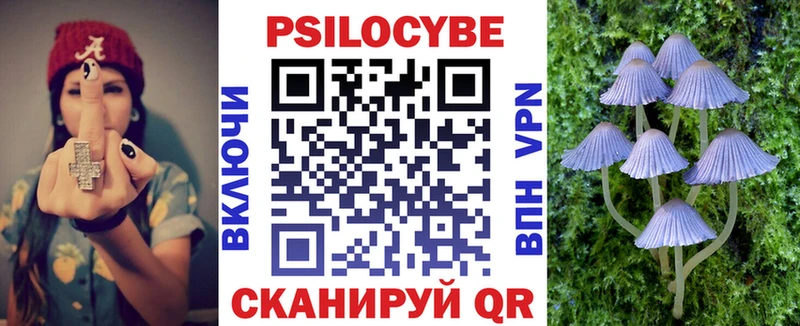 Купить закладки  Александровское  Псилоцибиновые грибы мицелий 