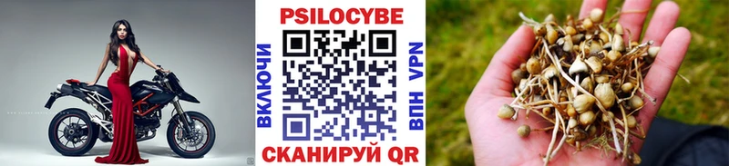 Галлюциногенные грибы мухоморы Александровское